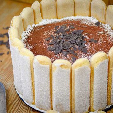 Eine Tiramisu-Charlotte in Nahaufnahme. Die Torte wird außen von Löffelbiskuits gesäumt.