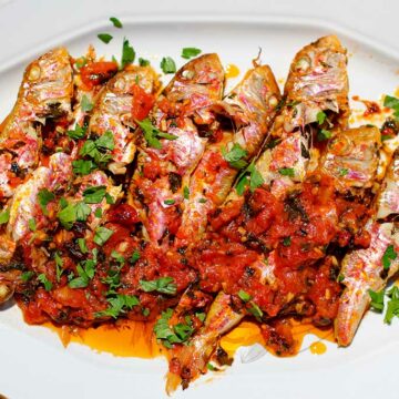 Eine Servierplatte mit gegarten Rotbarben an Tomatensauce, mit Petersilie bestreut.