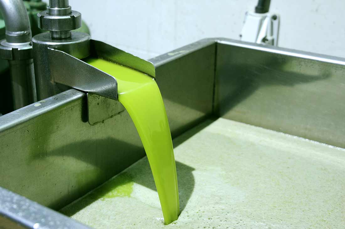 Frisch zentrifugiertes Olivenöl fließt in einen Auffangbehälter