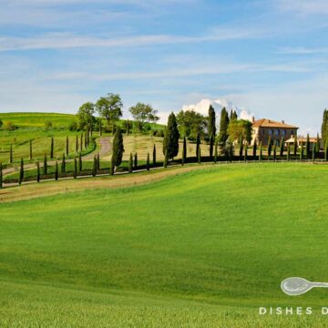 Foto von einer Toskana-Landschaft. Eine mit Zypressen gesäumte Straße schlängelt sich durch Wiesen zu einem Landhaus.