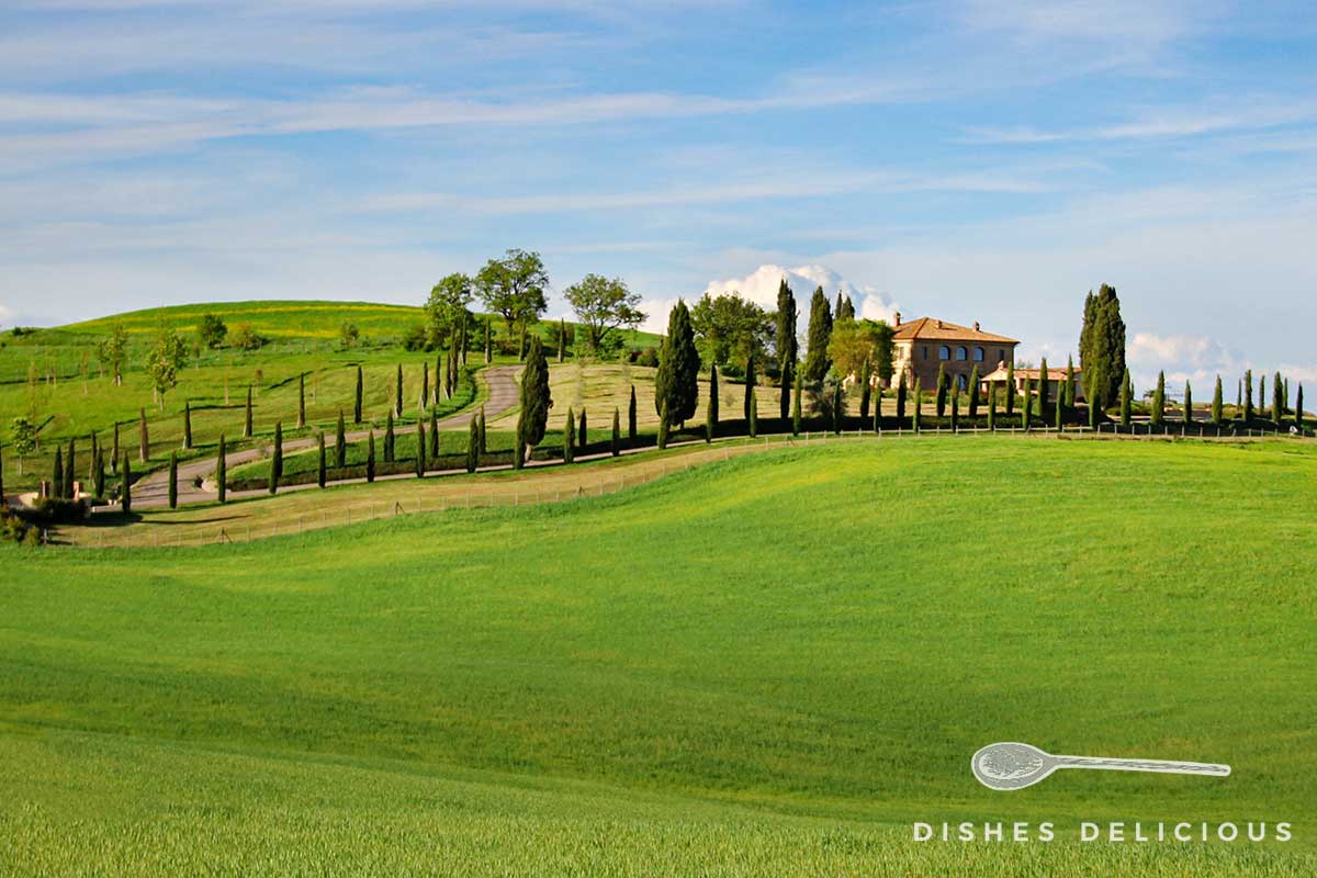 Foto von einer Toskana-Landschaft. Eine mit Zypressen gesäumte Straße schlängelt sich durch Wiesen zu einem Landhaus.
