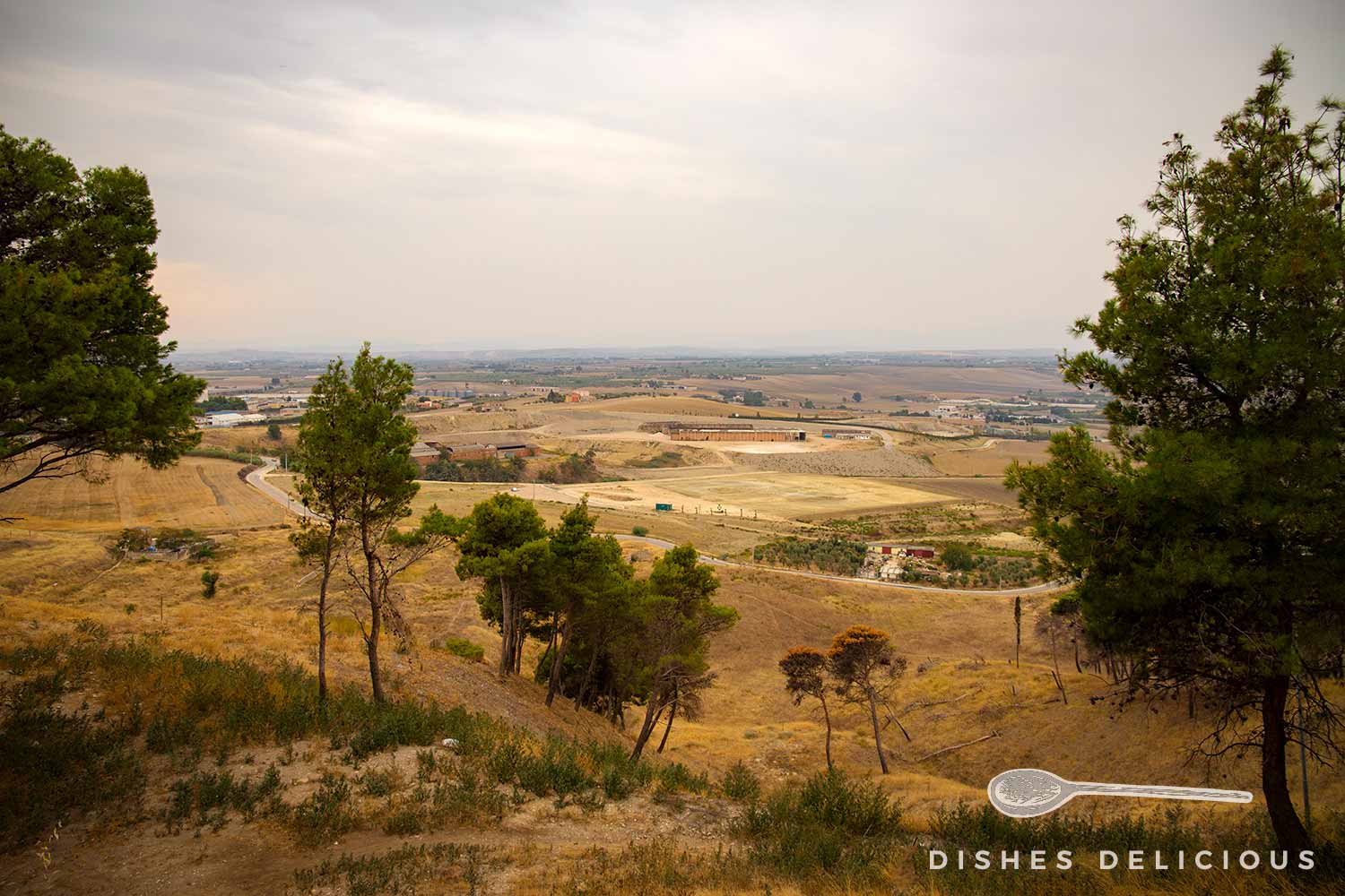Foto der flachen Landschaft des Tavoliere der Provinz Foggia.