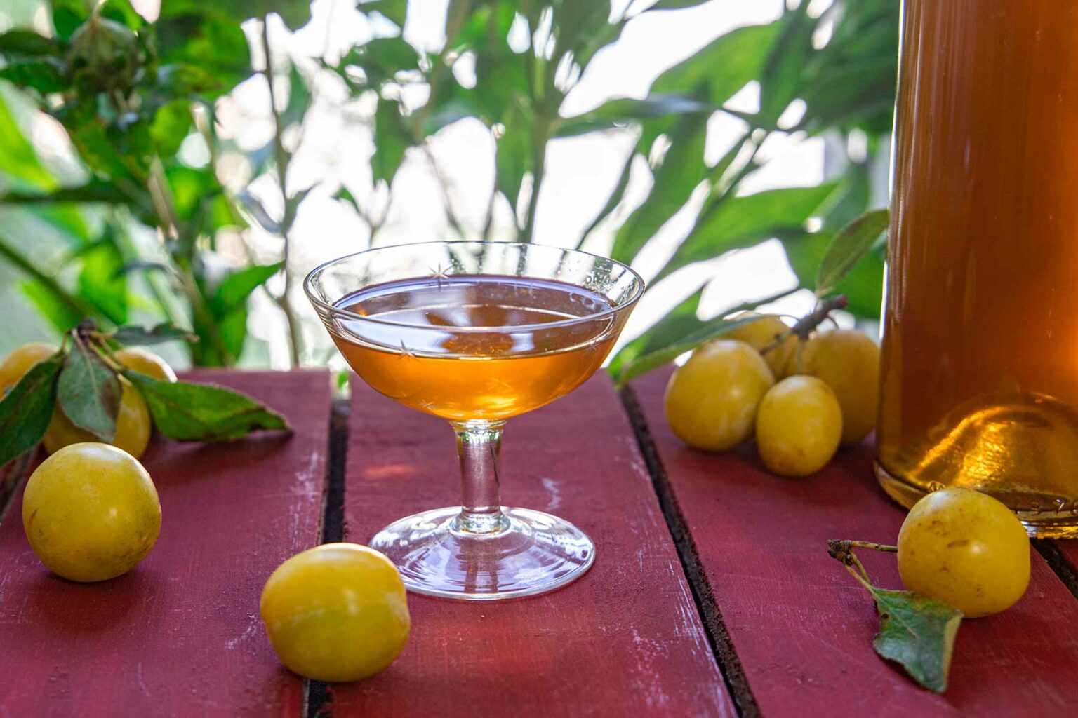 Mirabellenlikör ansetzen – so geht‘s | Dishes Delicious Mirabellenlikör ansetzen – so geht‘s | Dishes Delicious