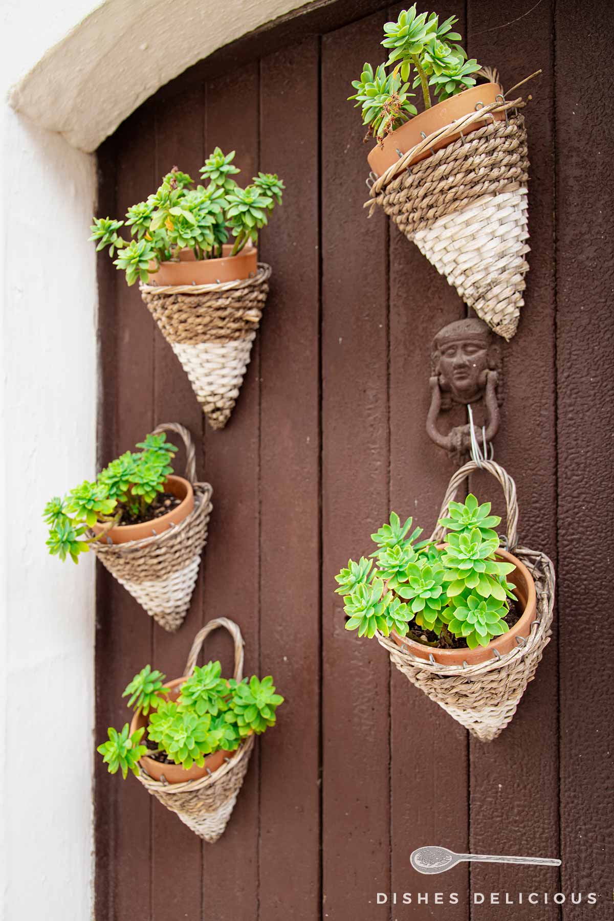 Eine Haustür mit fünf kleinen Pflanzenkörbchen und Türklopfer.