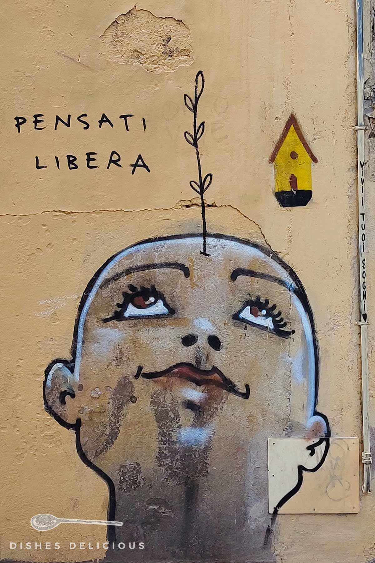 Street Art in Florenz: Ein Kopf, aus dem eine Pflanze wächst mit dem Titel "Befreie Gedanken".