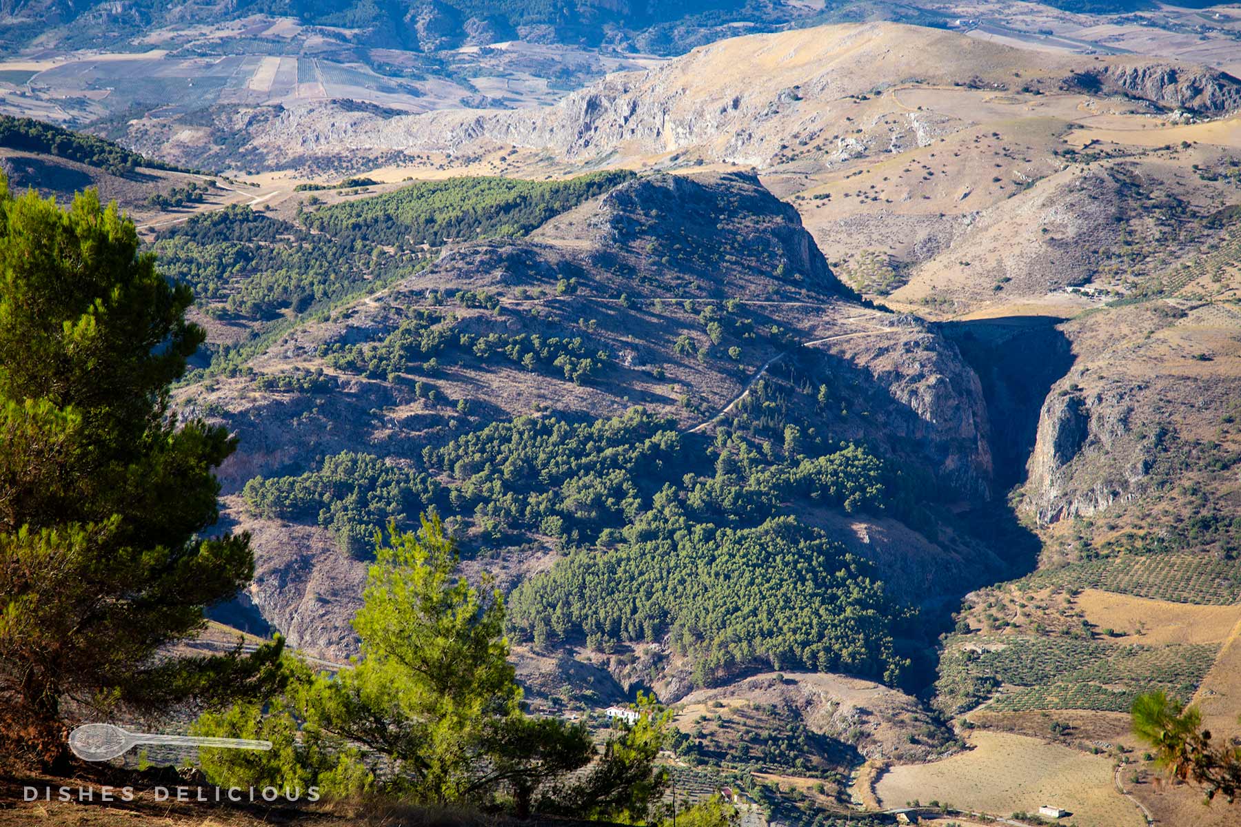 Berglandschaft mit bewaldeten Hängen und felsigen Flächen im Hinterland von Caltabellotta.