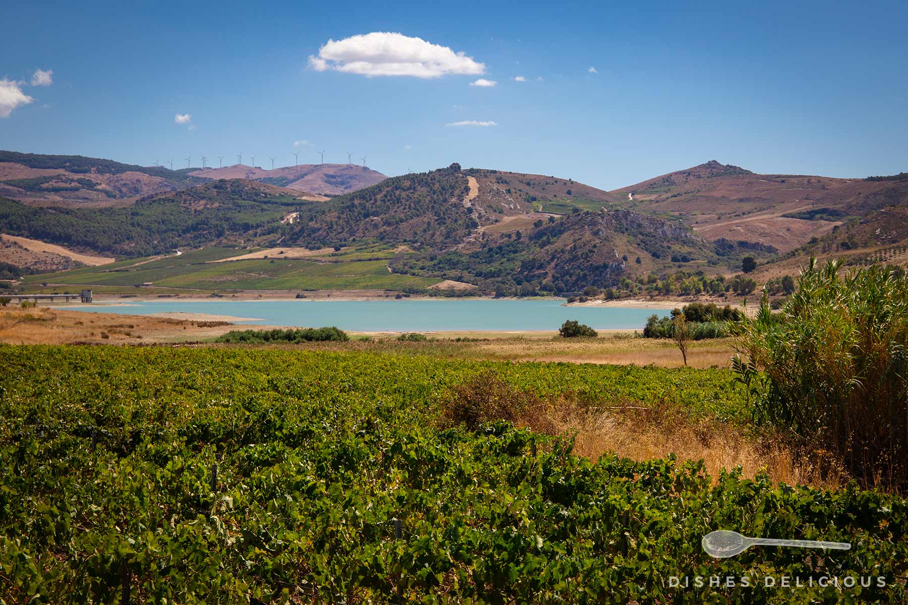 Blick auf den See Lago Arancio in Südsizilien mit grünem Ufer, dahinter Hügel mit Windrädern unter blauem Himmel mit einer Wolke.