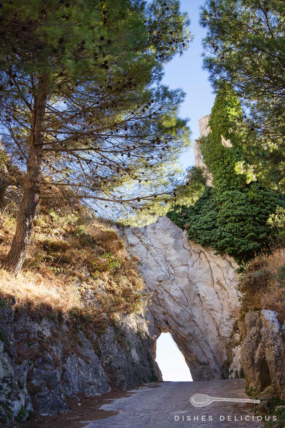 Felsformation mit natürlichem Durchgang, umgeben von Kiefern und bewachsenen Felsen, darunter ein Weg mit Schatten.