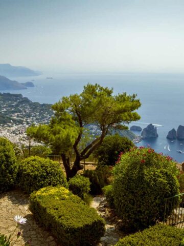Blick über Capri und das Meer vom Monte Solaro aus. Im Vordergrund ein Garten und eine Statue.