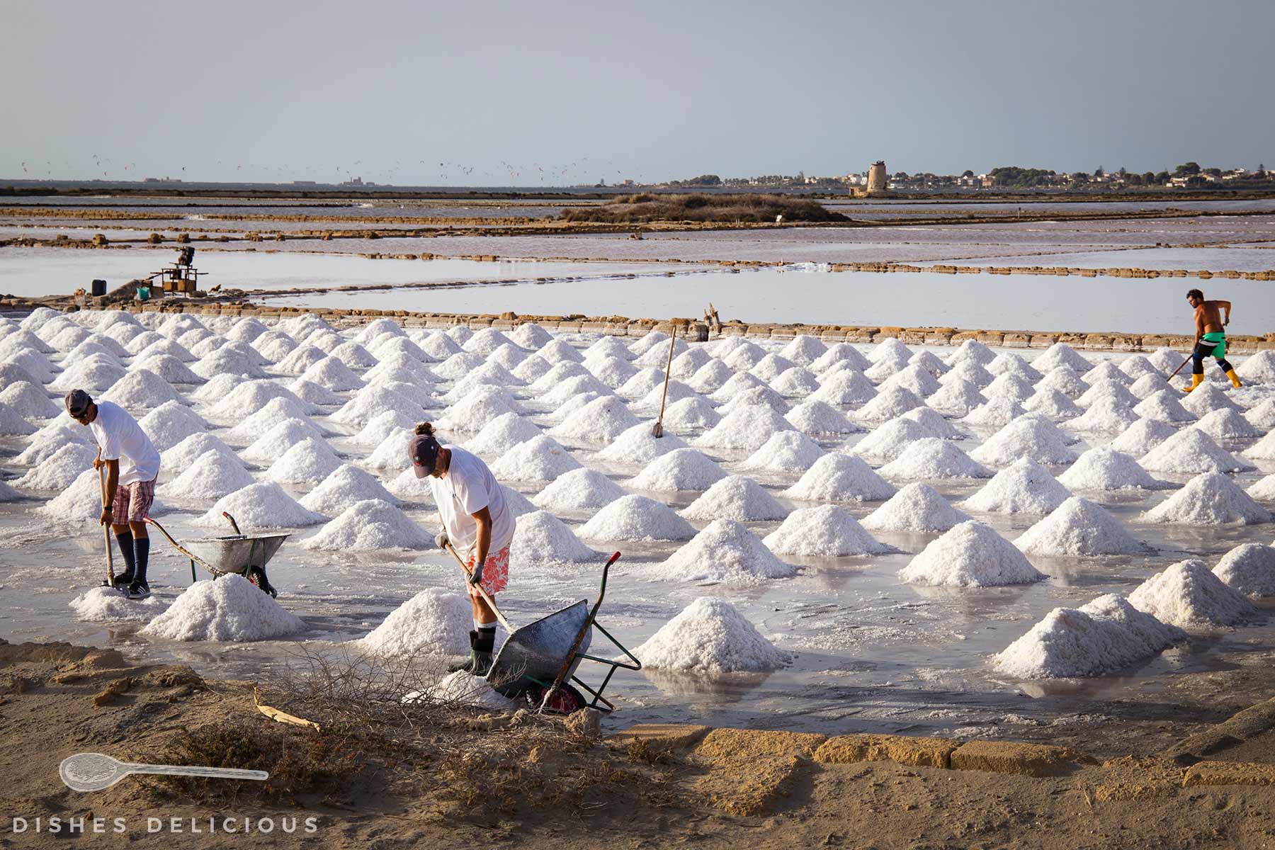 Mehrere Personen ernten Salz an einem Salzfeld in Sizilien mit zahlreichen kegelförmigen Salzbergen auf feuchtem Boden, im Hintergrund Wasserflächen und Gebäude.