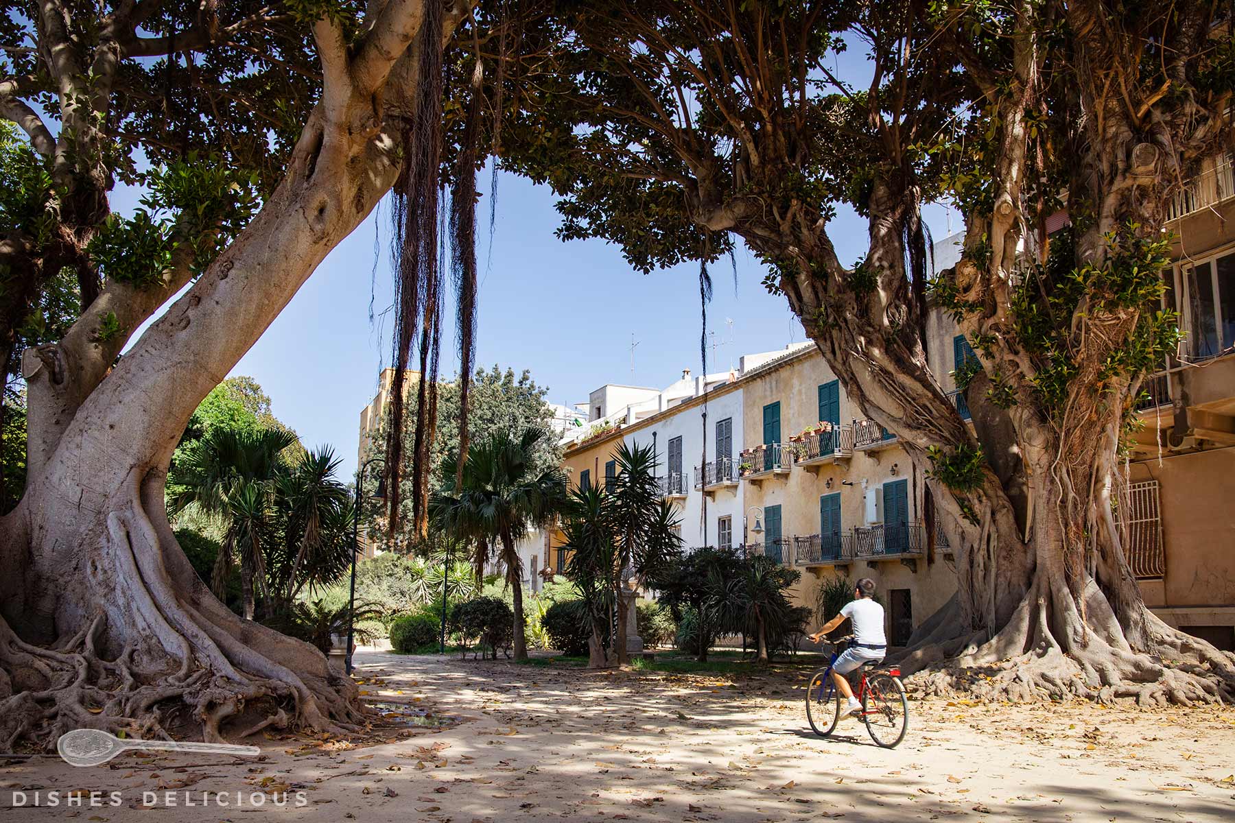Fahrradfahrer in einem Park zwischen zwei großen Bäumen vor mehrstöckigen Wohnhäusern mit Balkonen.