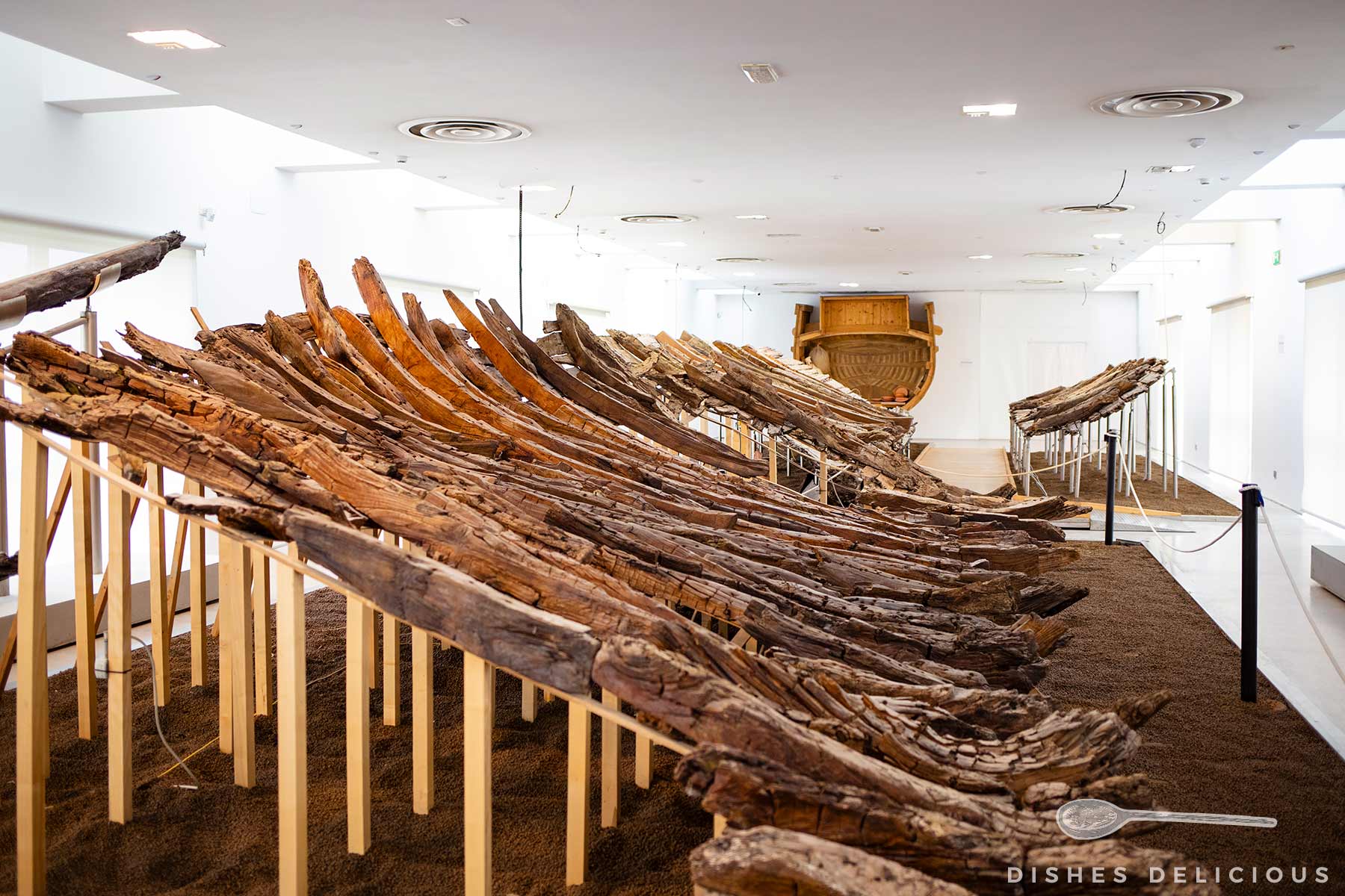 Im Archäologischen Museum von Olbia: Reste eines antiken Holzschiffs auf Ständern in einem hellen Museumssaal.