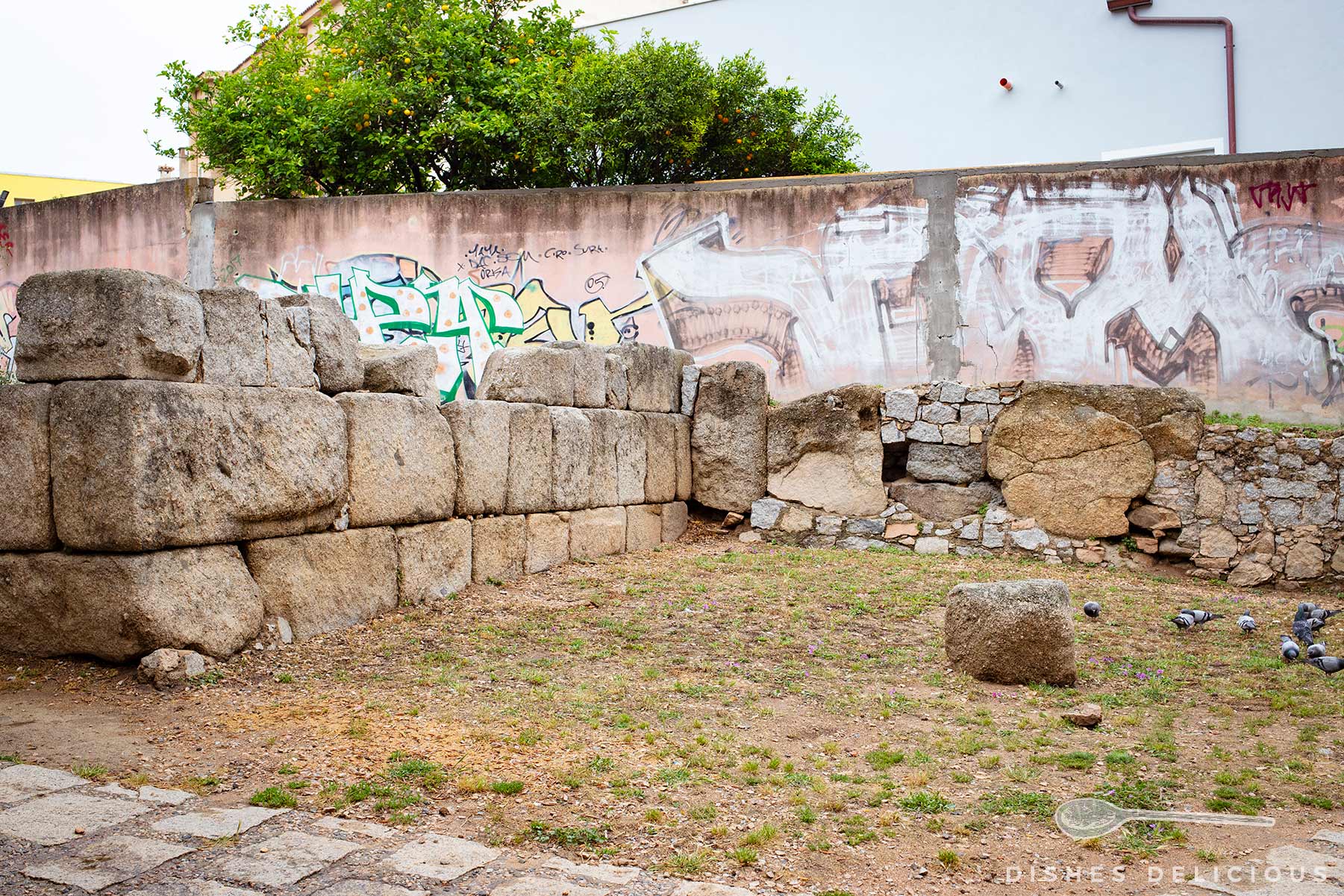 Ruine der punischen Mauer von Olbia aus grob behauenen Steinquadern vor einer mit Graffiti besprühten Mauer im Hintergrund.